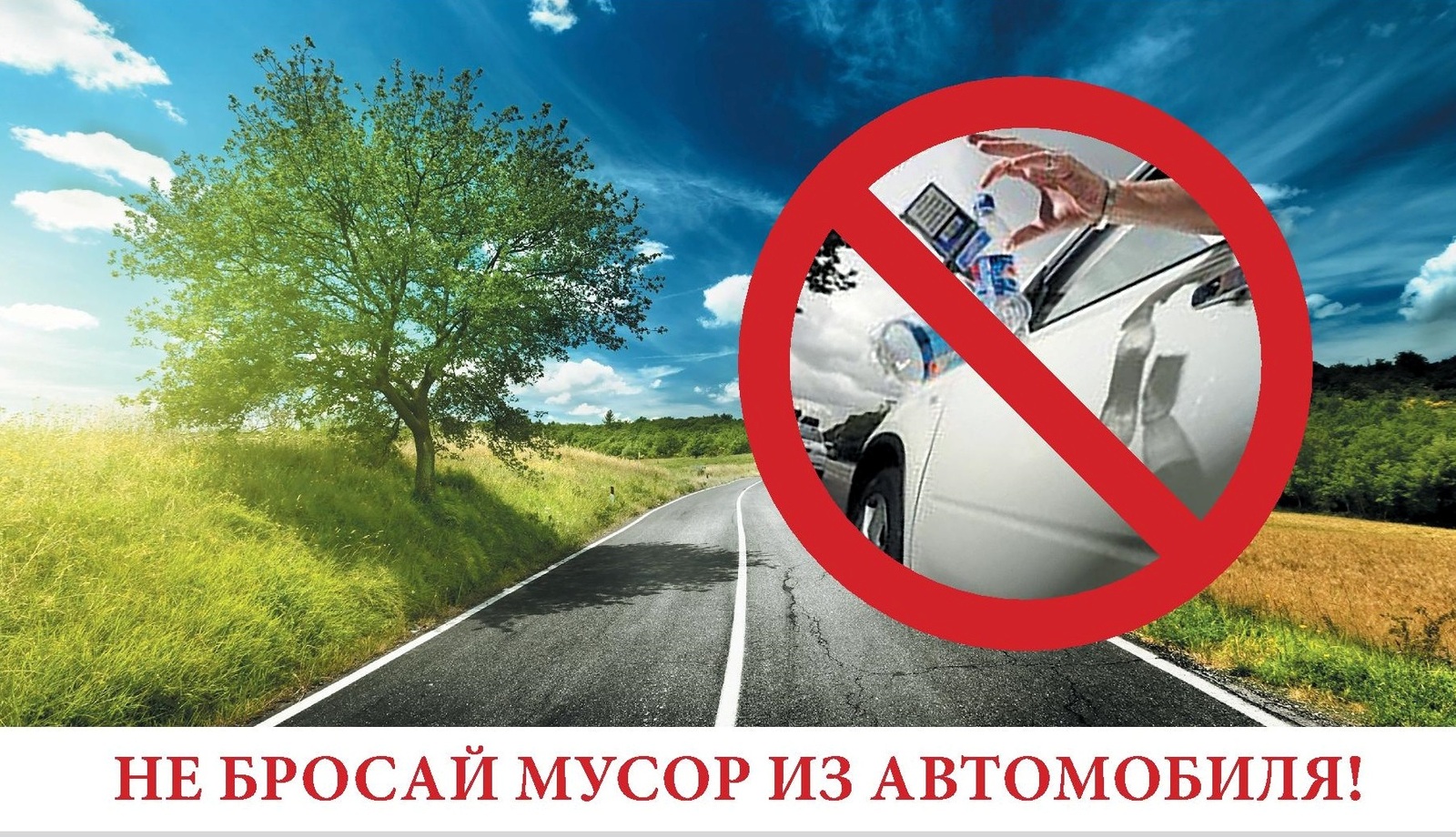 Нарушителей в сфере экологии смогут привлекать к ответственности