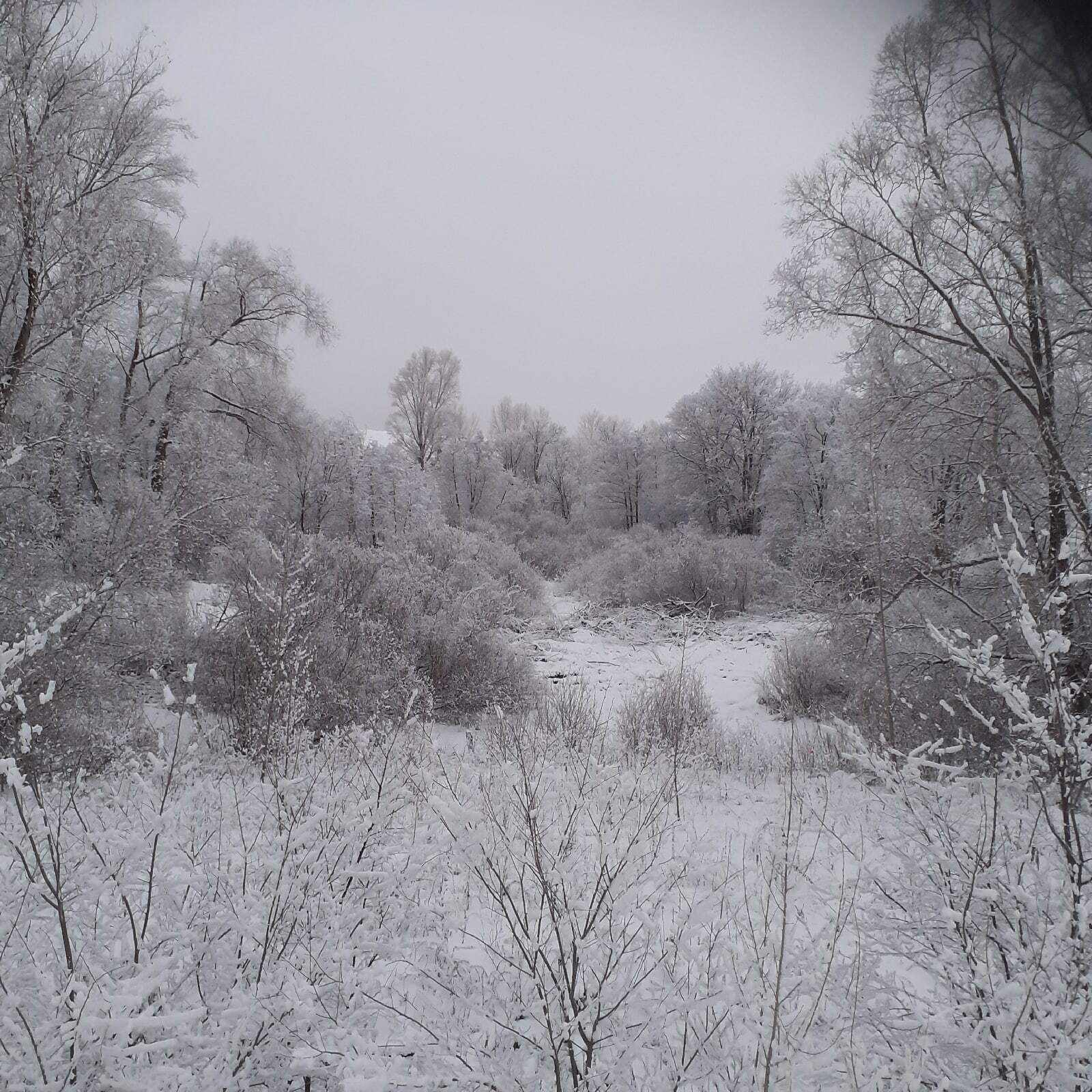 Киләһе ҡыш былтырғыһынан һалҡыныраҡ булыуы ихтимал