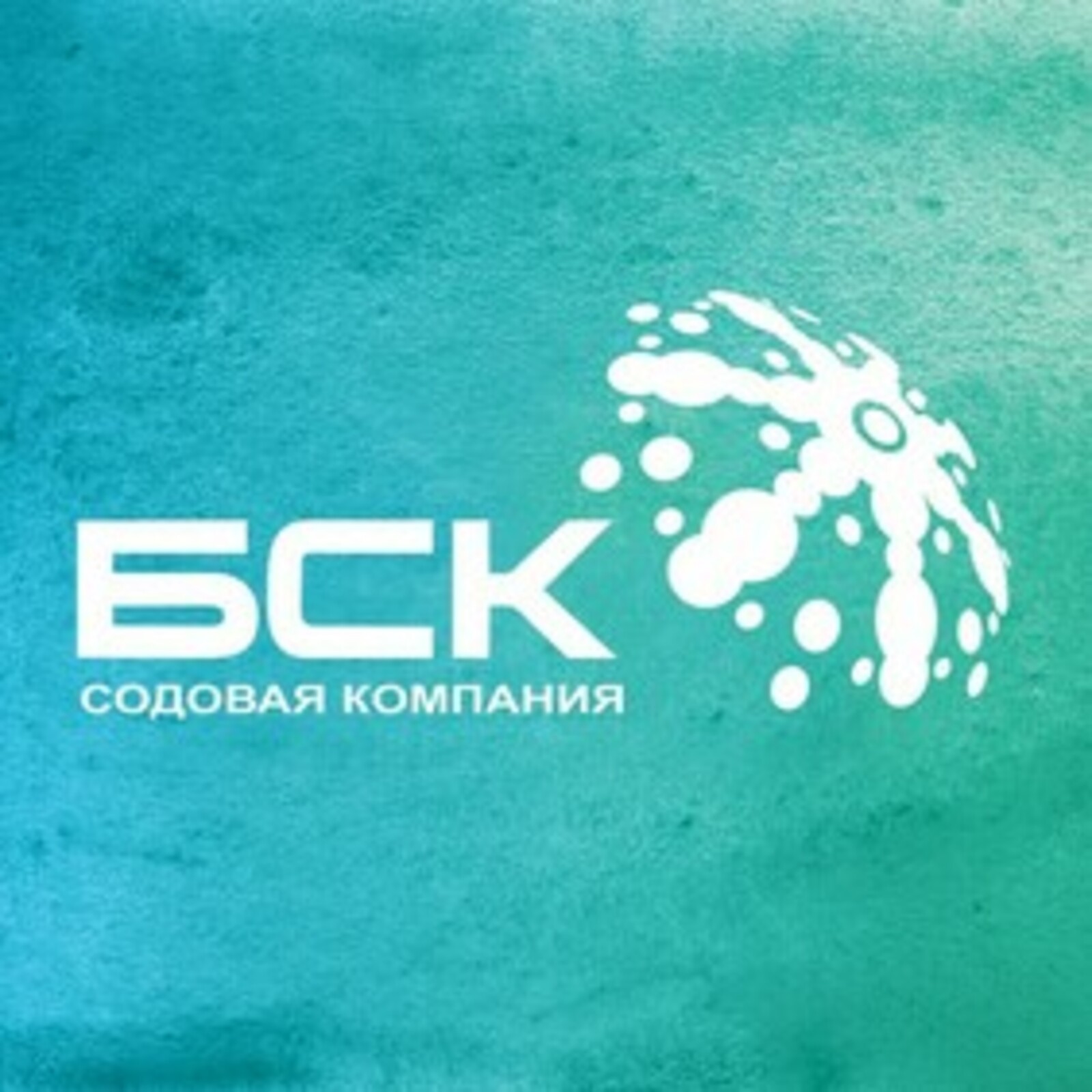 БСК приступила к реализации проекта по созданию химического кластера в Казахстане