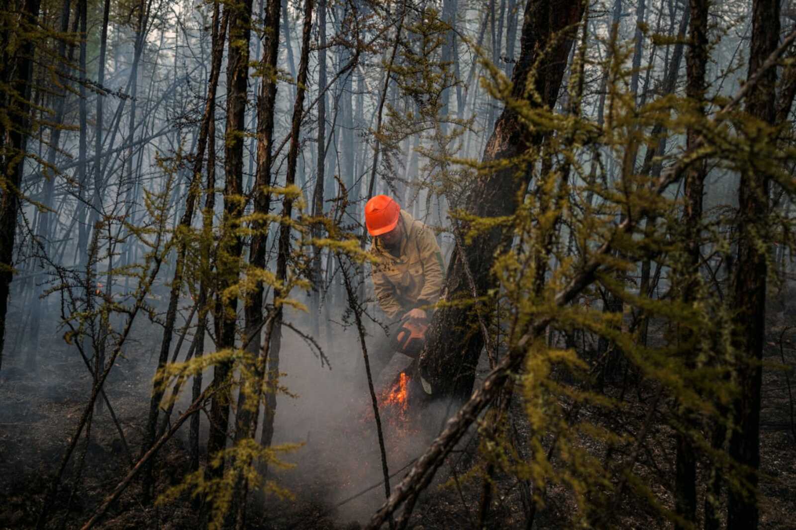 В России хотят ввести штрафы за помехи при тушении лесных пожаров