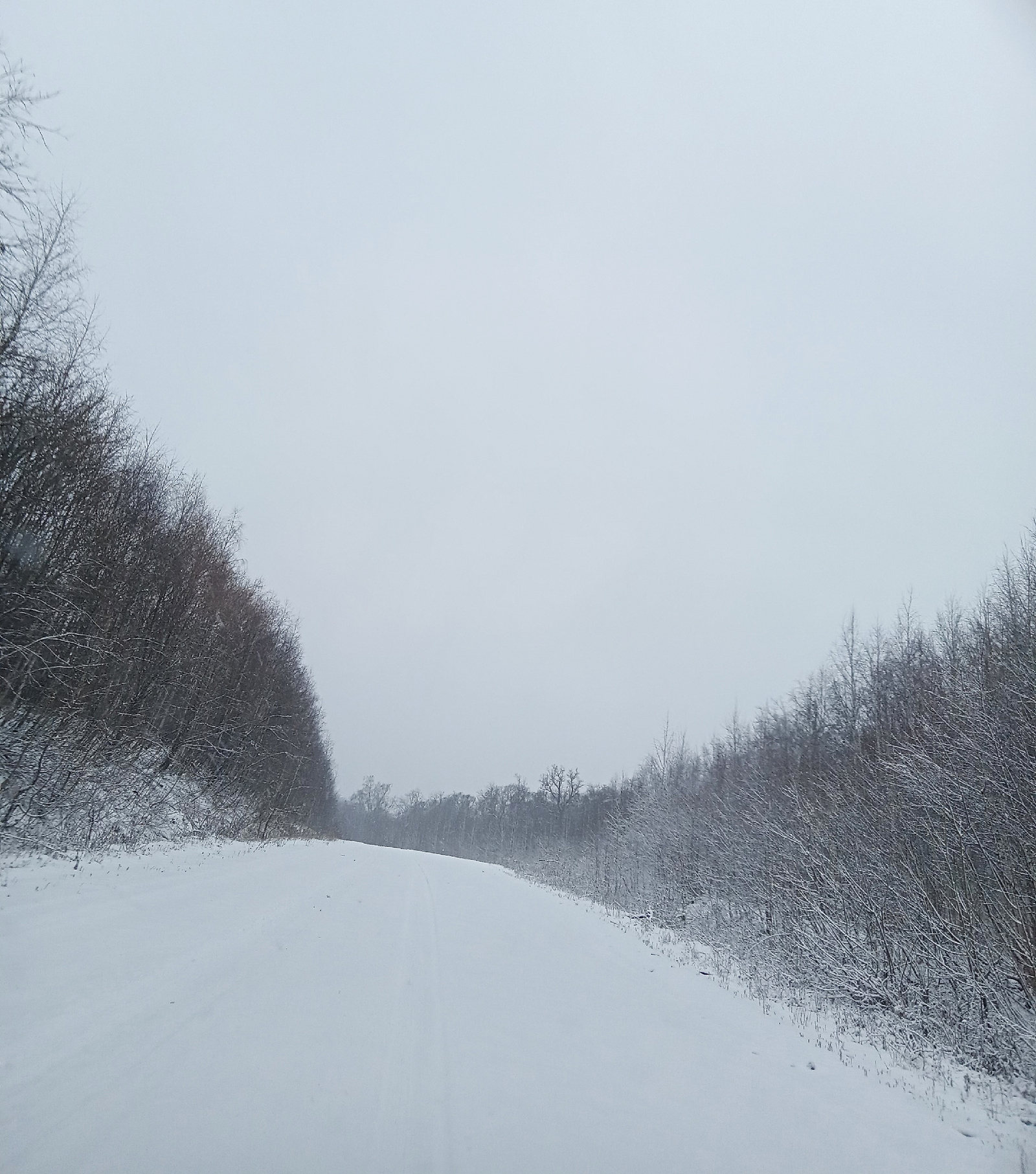 Башҡортостанда көслө ҡар яуыуы көтөлә