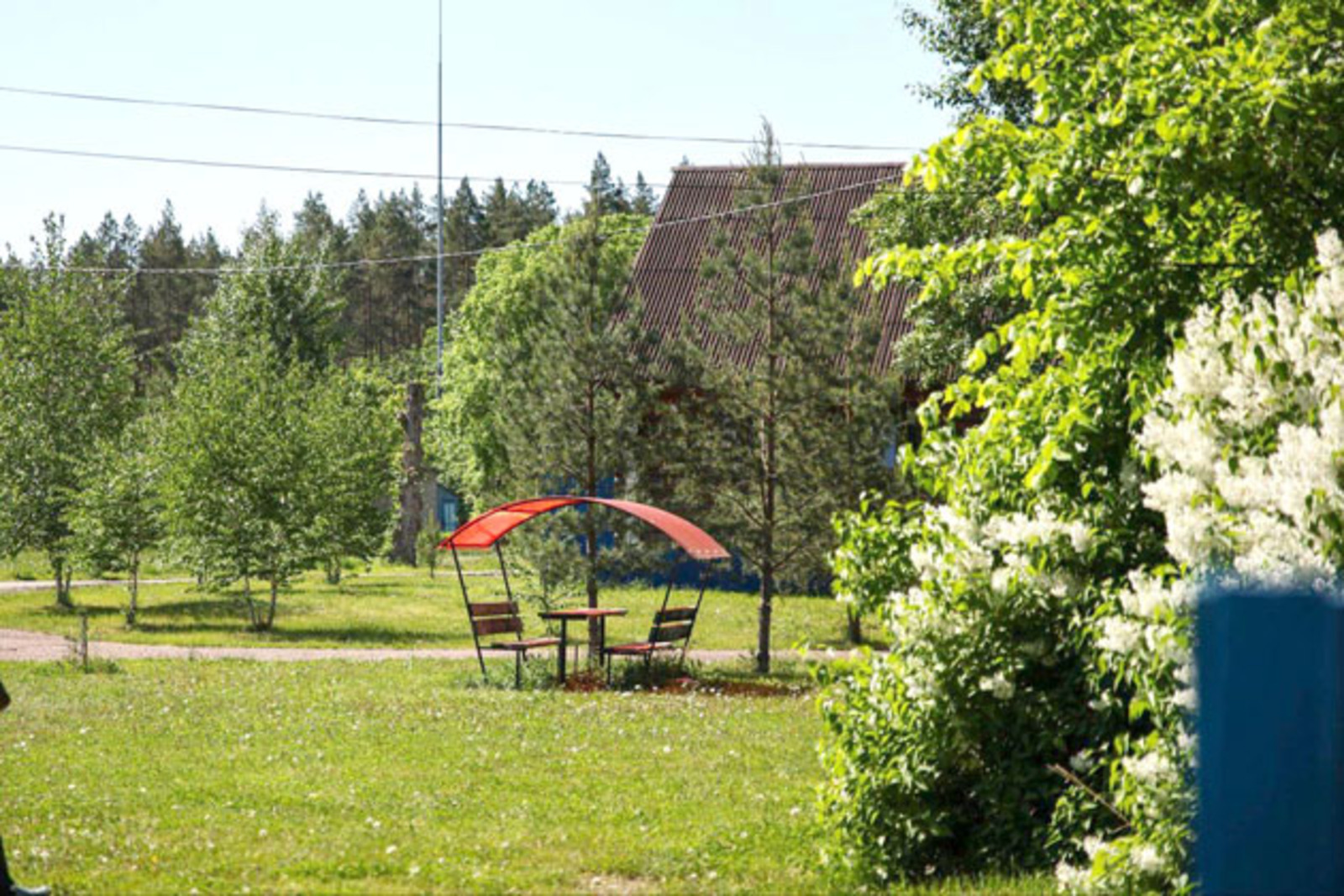 Ҡарлуғас йәй башлай