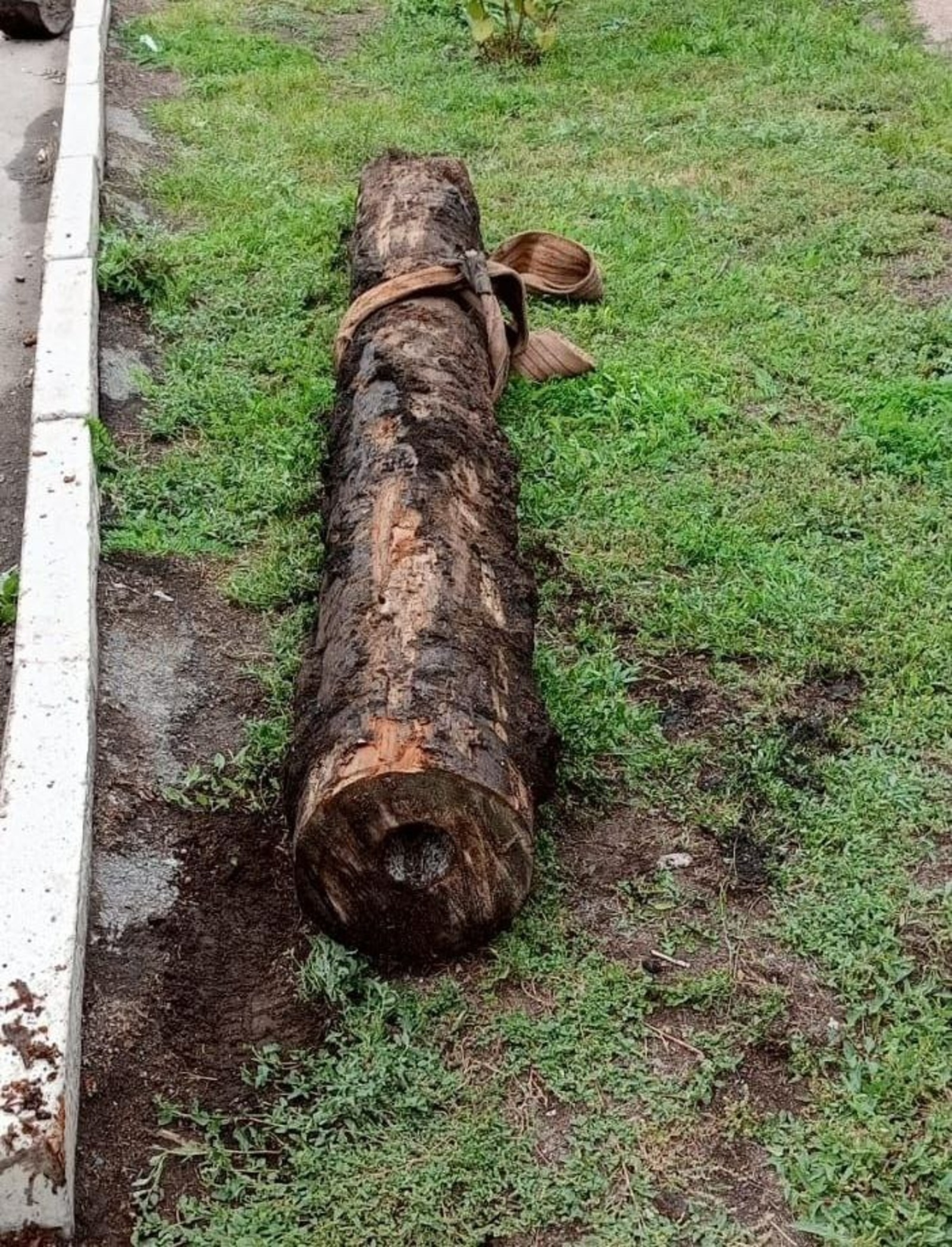 В Стерлитамаке обнаружили фрагмент деревянного водопровода, которому около 100 лет