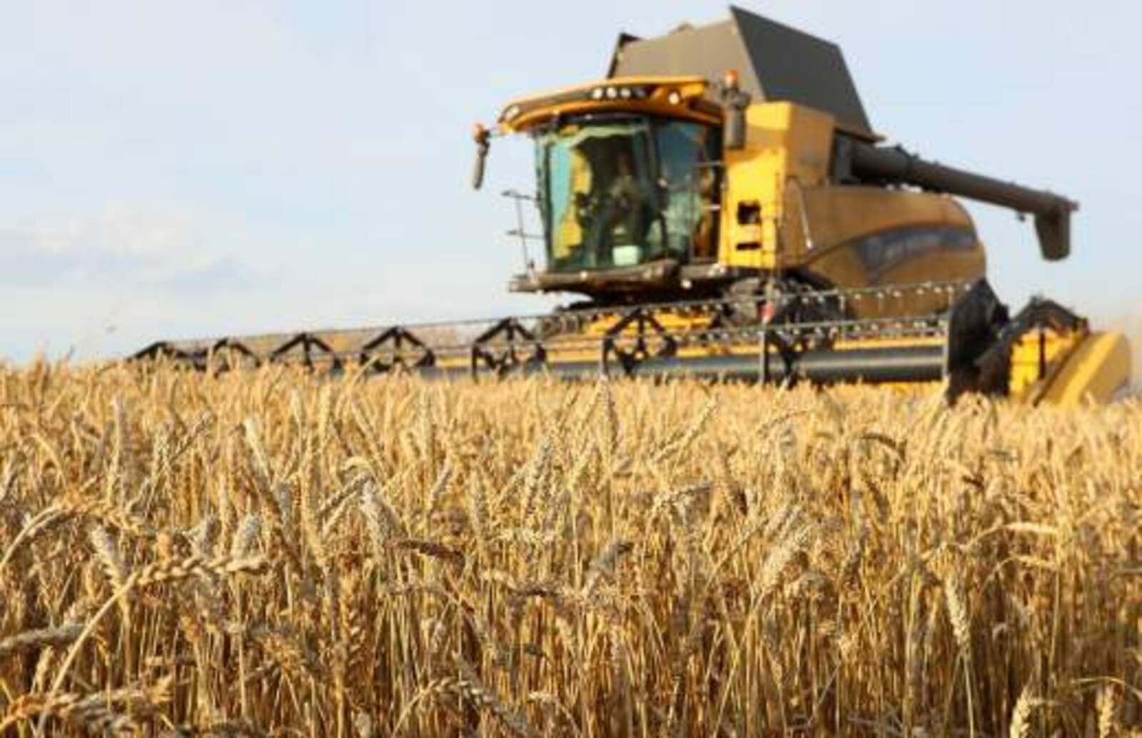 Путин заявил о готовности РФ бесплатно поставить зерно в беднейшие страны в случае выхода из сделки