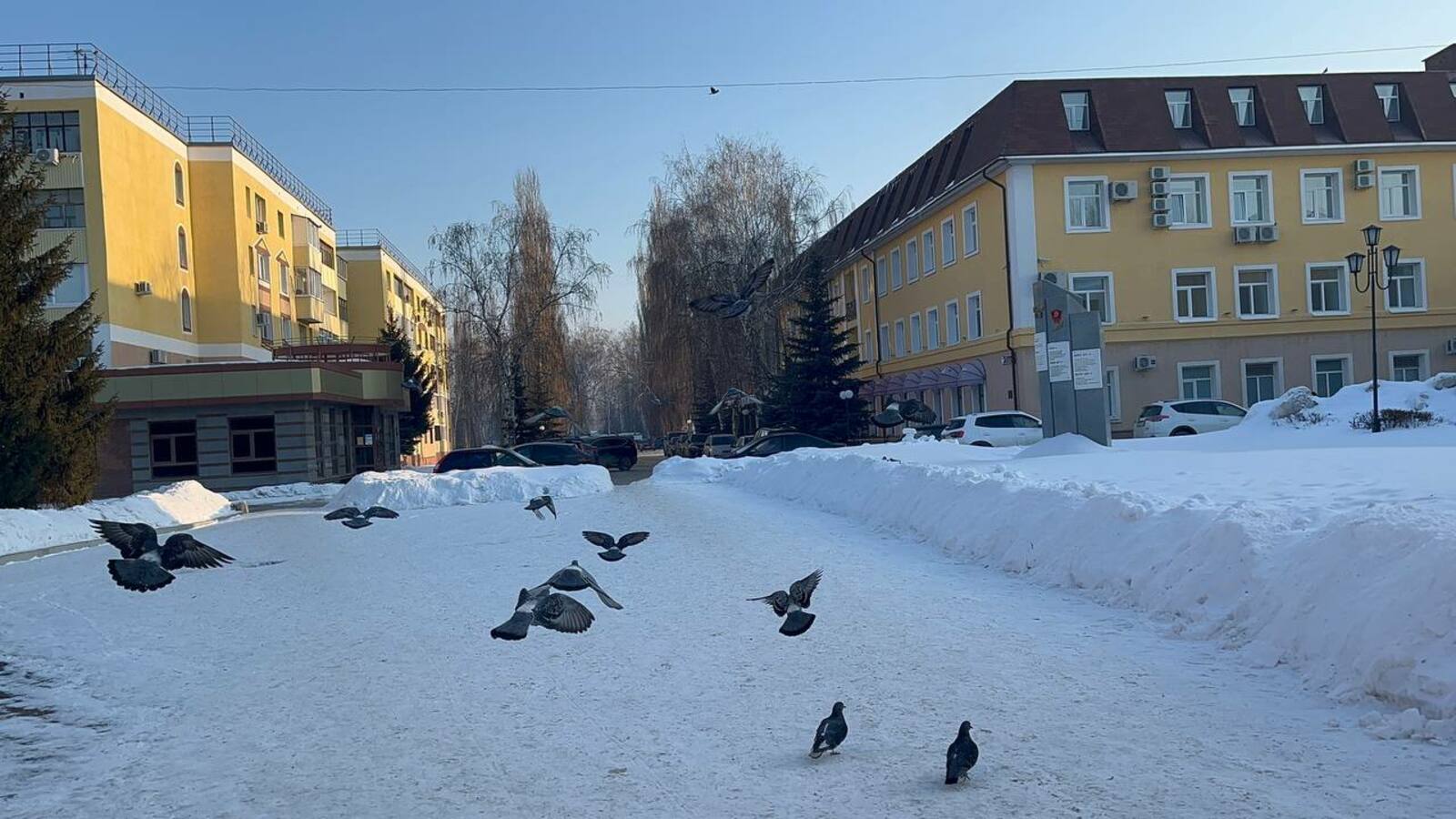 Декабрь ҙә әллә ни һыуыҡ булмаясаҡ