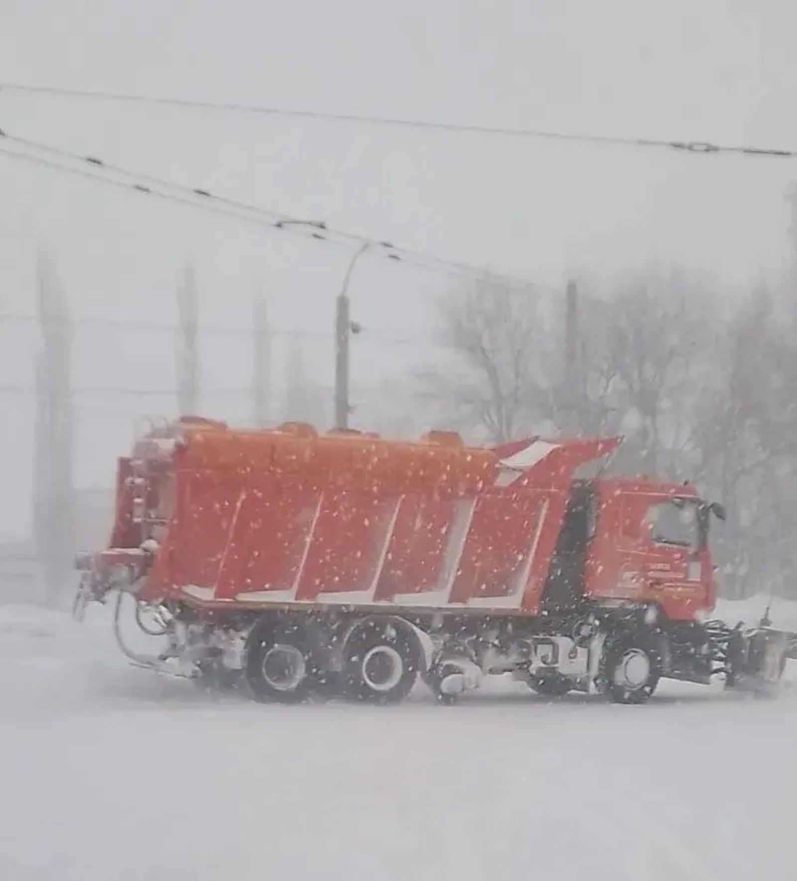 МАРТТЫҢ КӨНӨ - ШАРТ