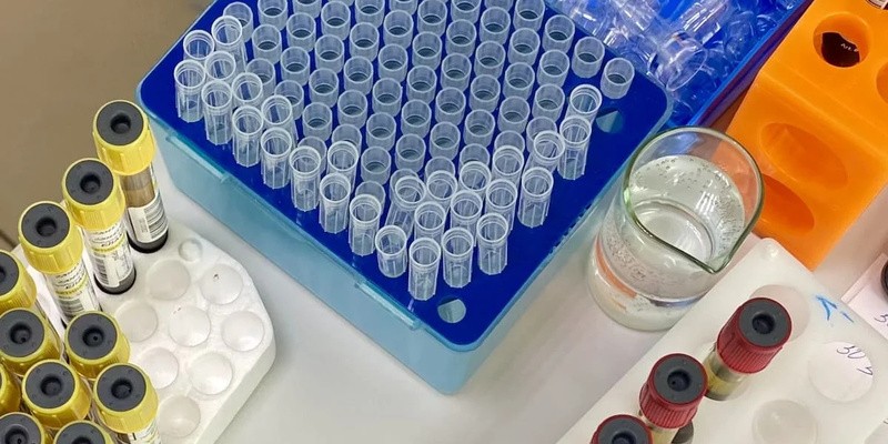 ЯМАН ШЕШ СИРЕ АРТҠАНДАН-АРТА БАРА