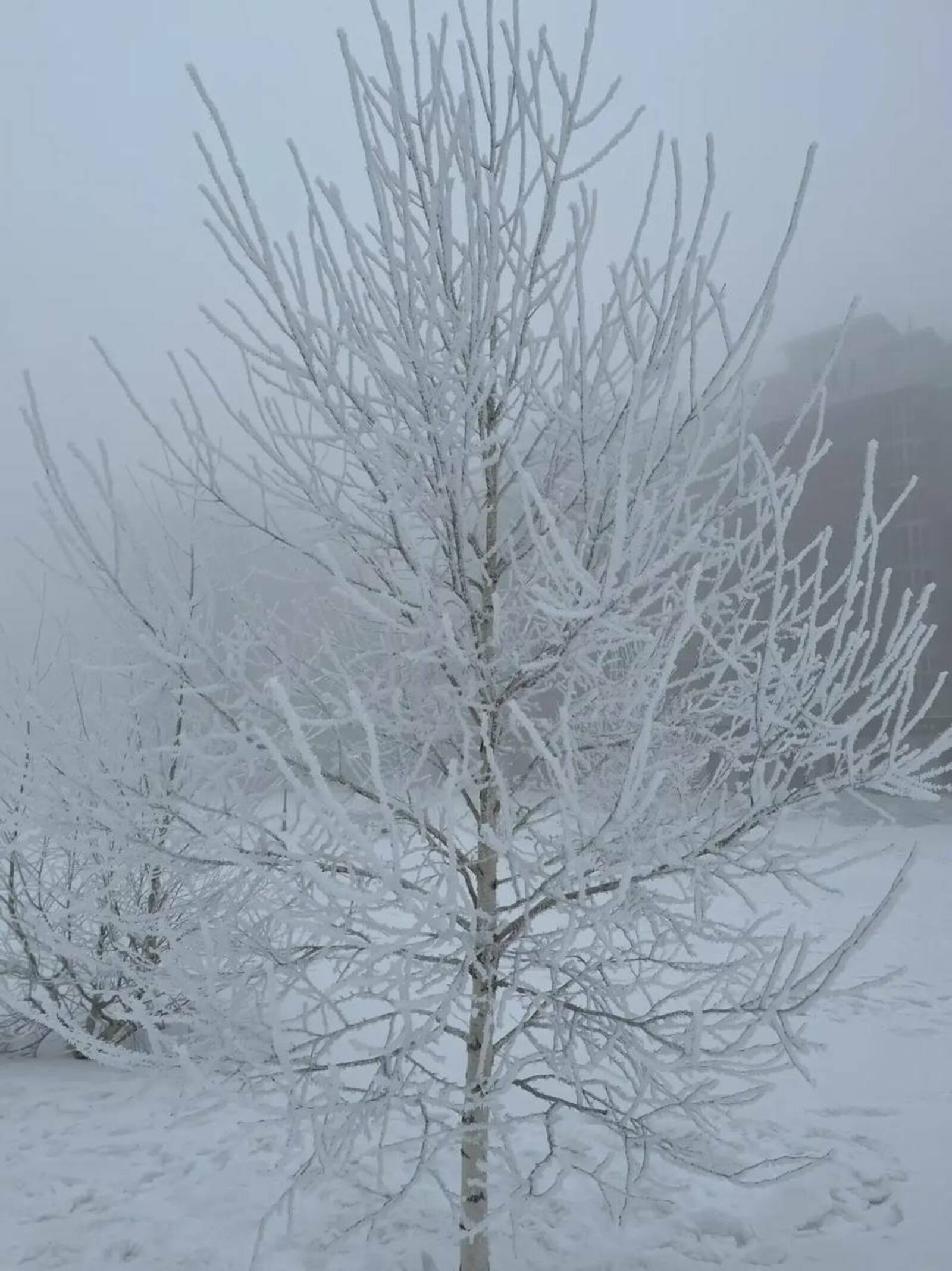 Уяулыҡ һәм ябай хәстәрлек һыуыҡтан яҡлаясаҡ