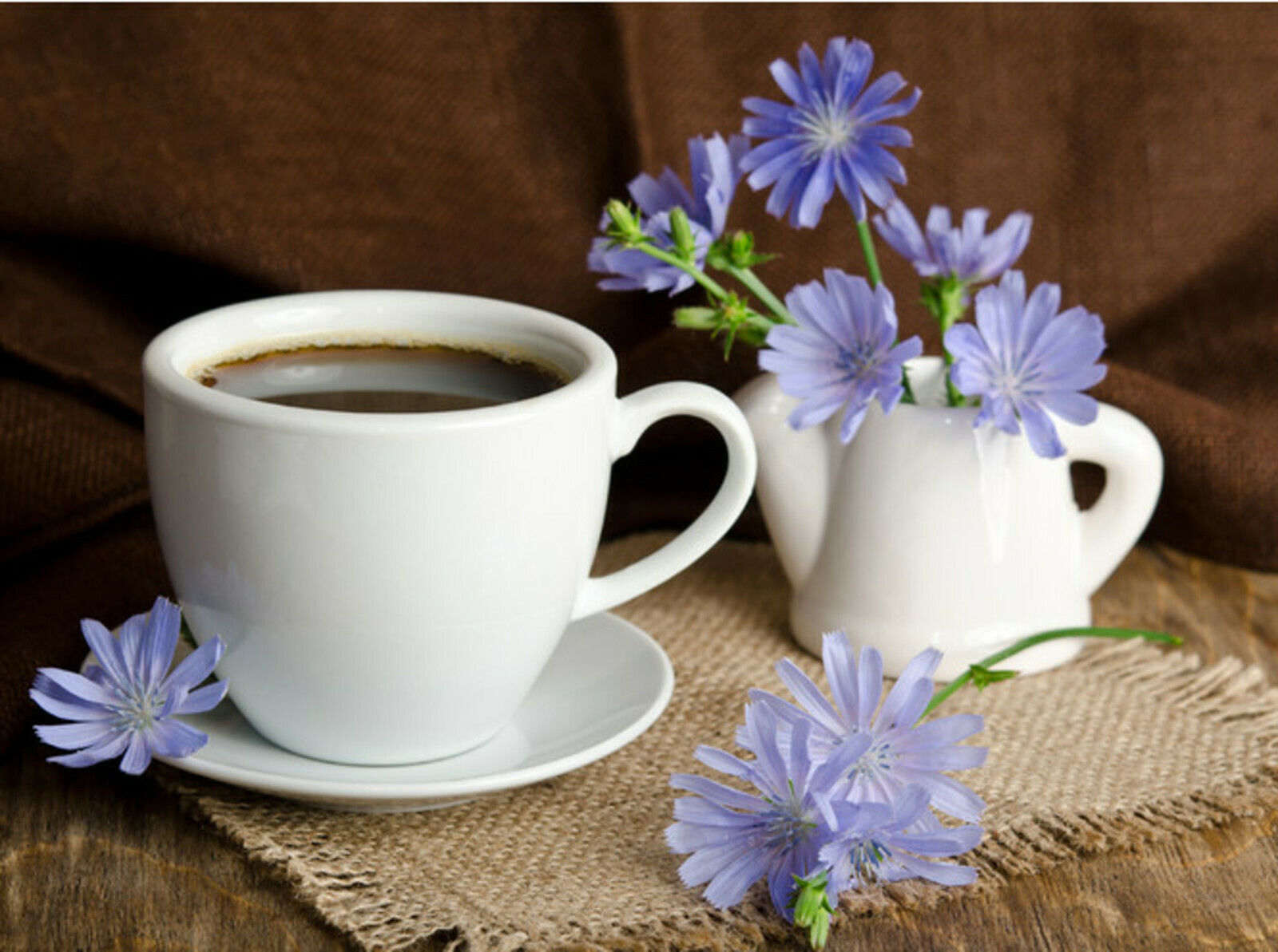 Цикориймы, ҡәһүәме?