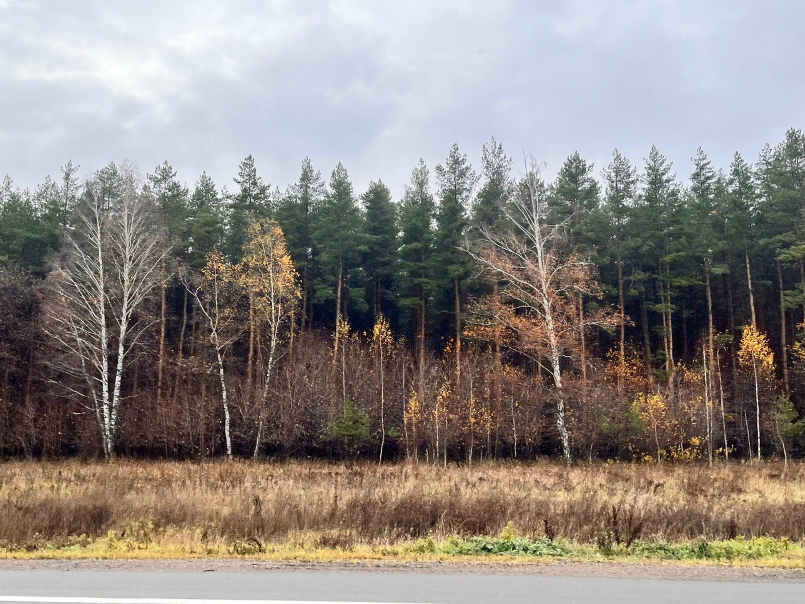 Атайым әсәйемде яратмаған булған...