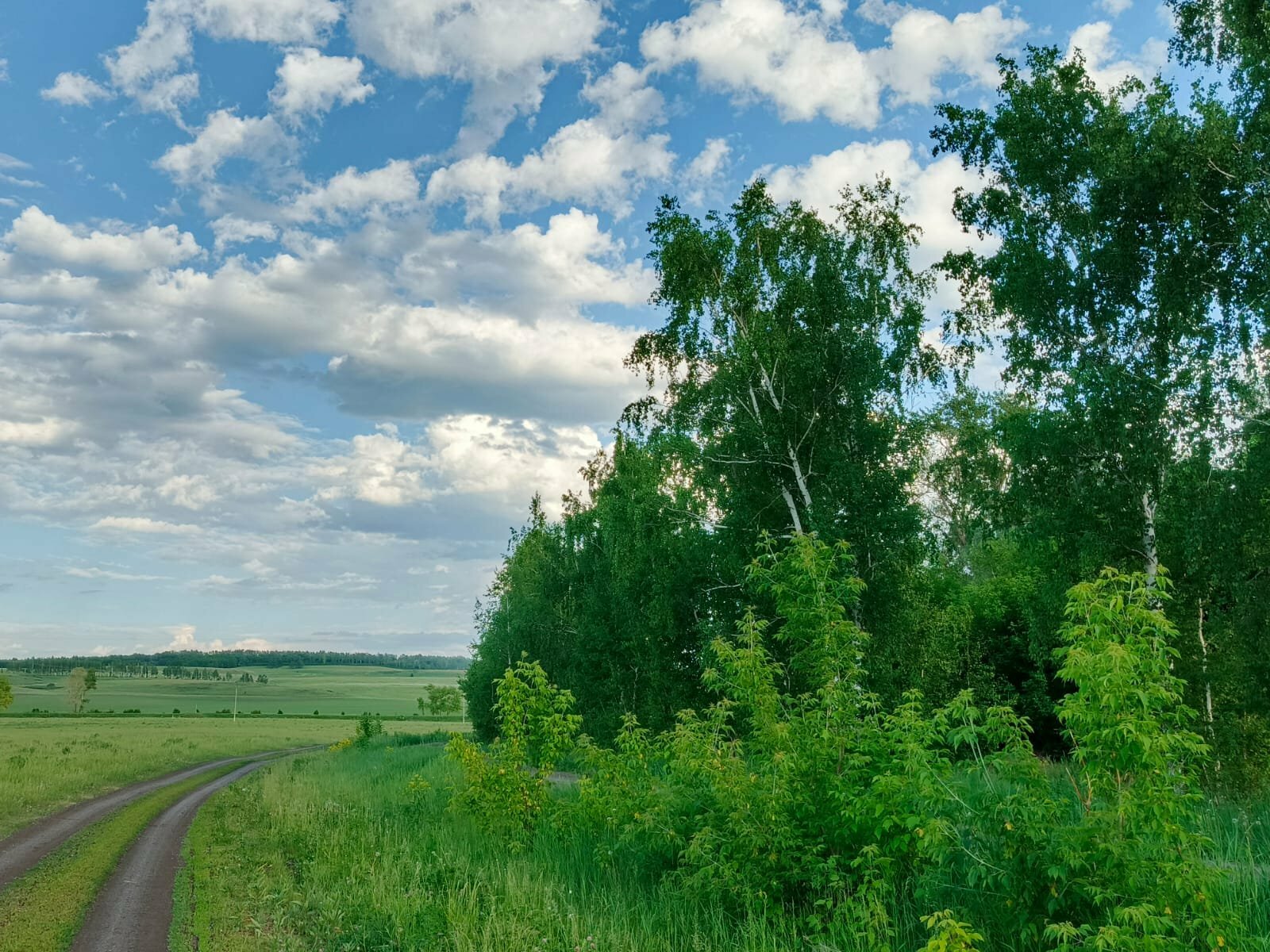 Киҫеп ташланған ғүмер. Хикәйә. Н.Хәмбәлиева