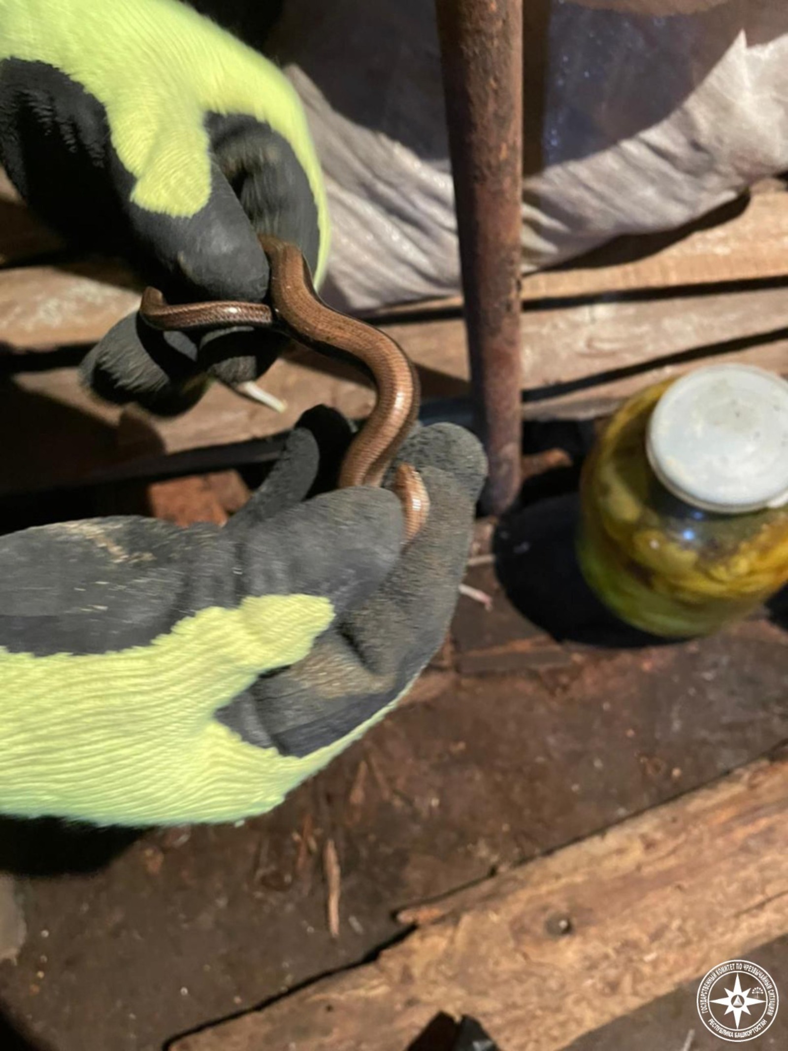В Башкирии спасатели вытащили змею из погреба в гараже
