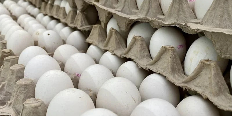 ХАҠТАР КӘМЕГӘН