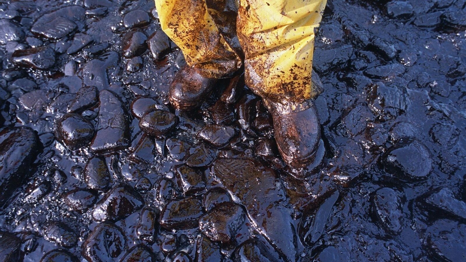 Путин предупредил об угрозе экологической катастрофы после удара по Туапсе.