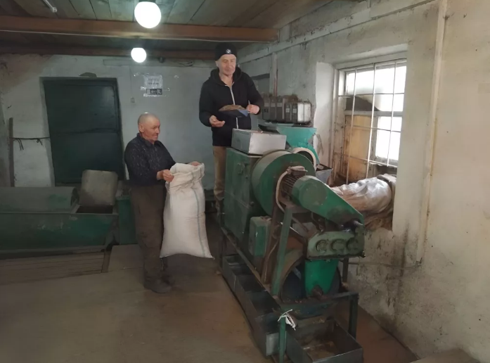 В лесхозе Башкирии вылущили 16 тонн шишек