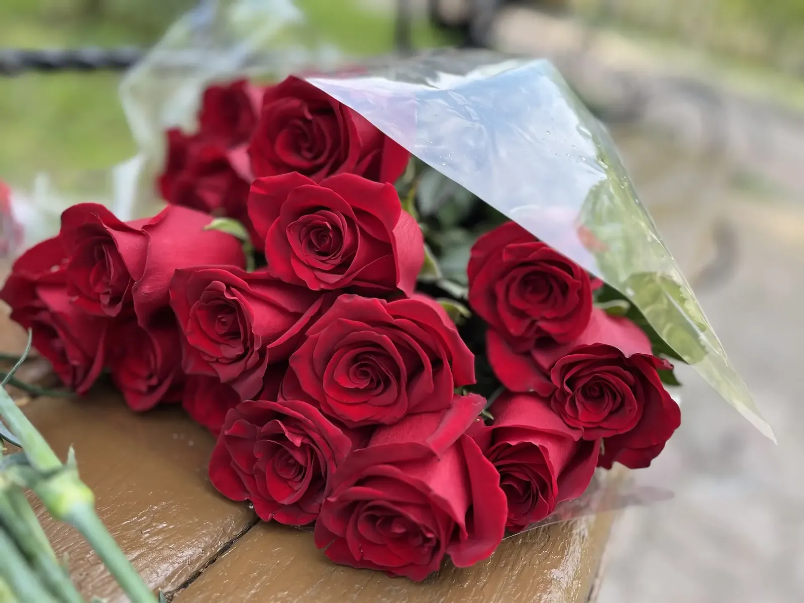 Һәр рәнйетеүен ҡыҙыл раузалар менән ҡаплай ине...
