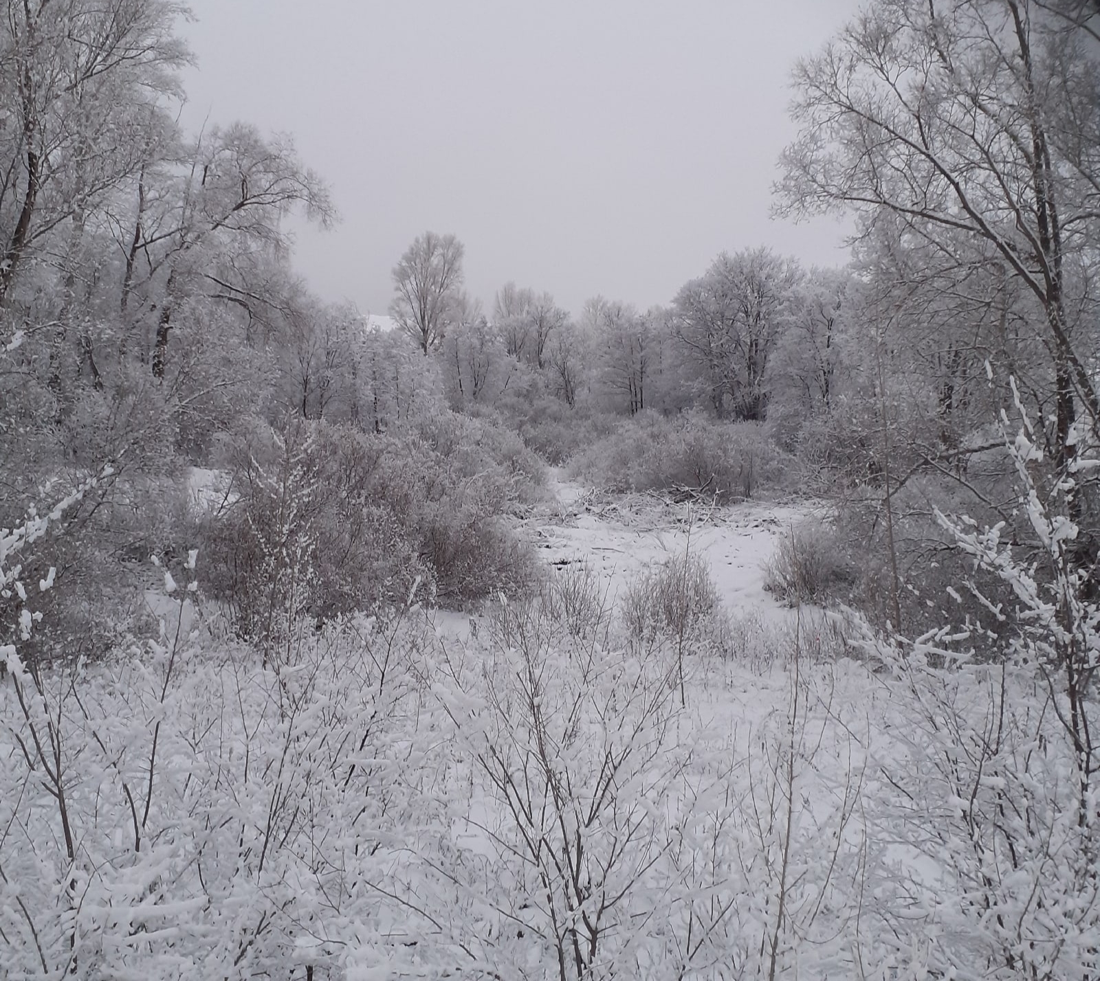 В Башкирии ненастная погода сохранится еще несколько дней