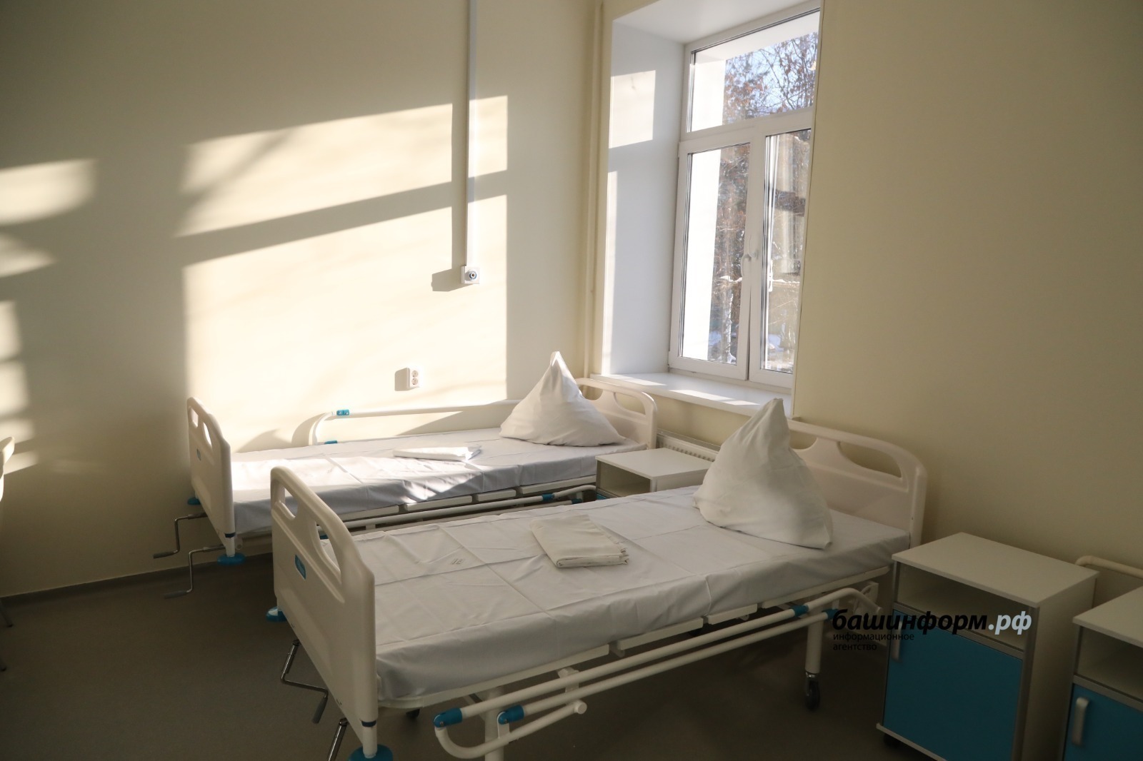 Башҡортостанда 732 кеше сысҡан биҙгәге менән ауырыған