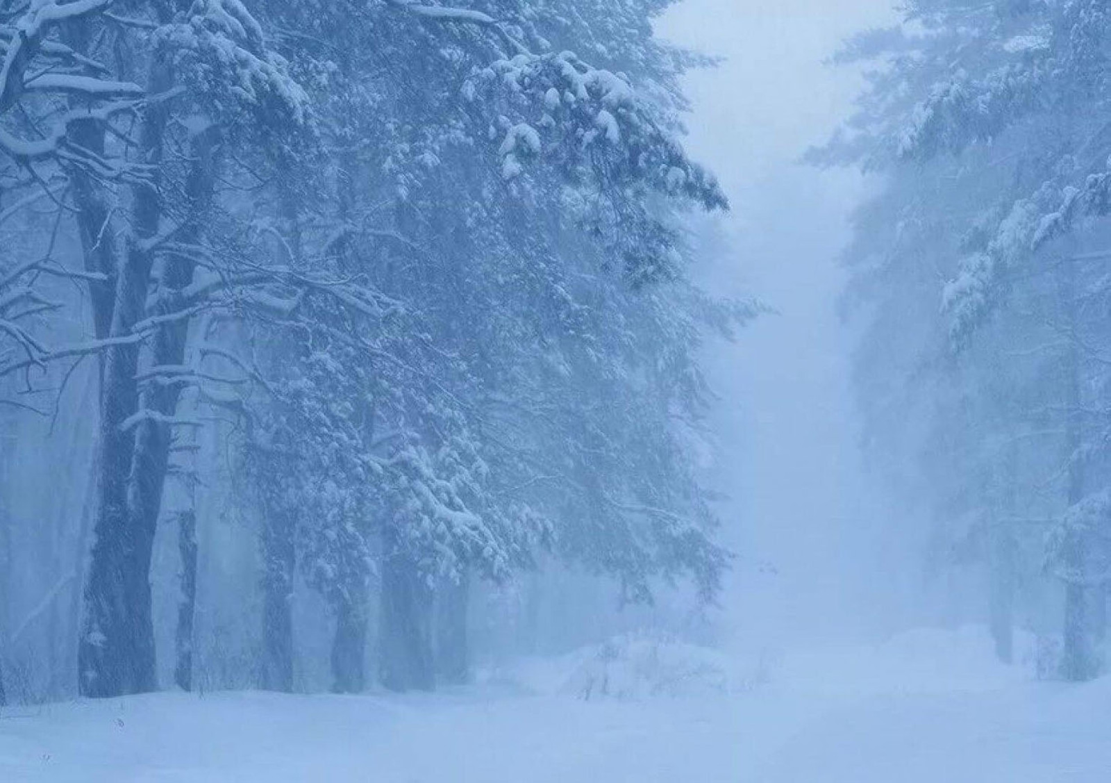 Буран (хикәйә). Динис Бүләков