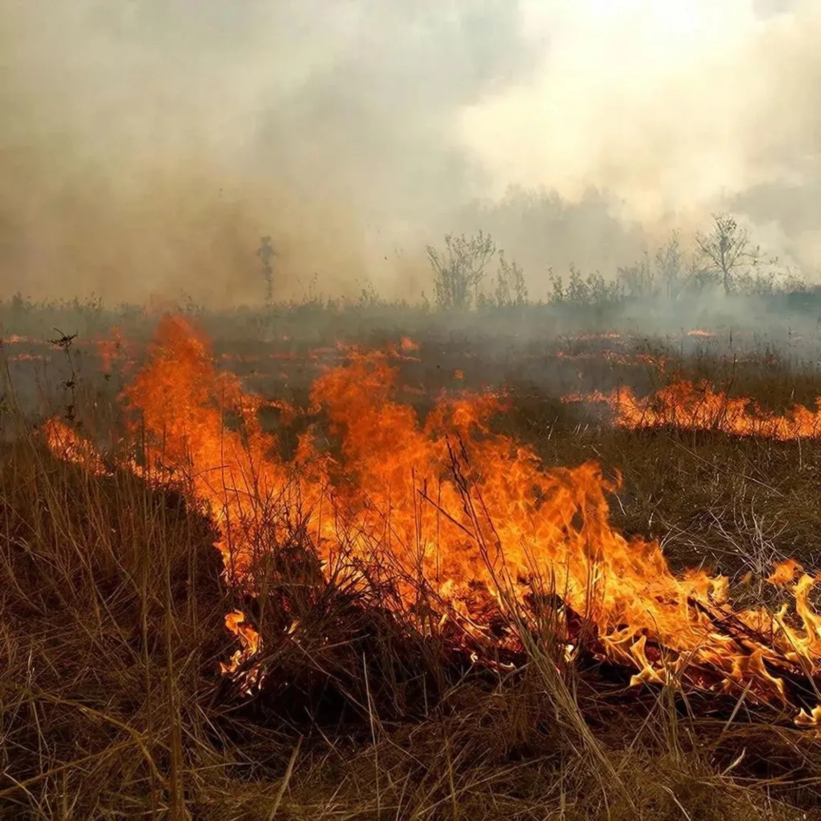 ҠОРО ҮЛӘН, СҮП-САР ЯНДЫРМАҒЫҘ!