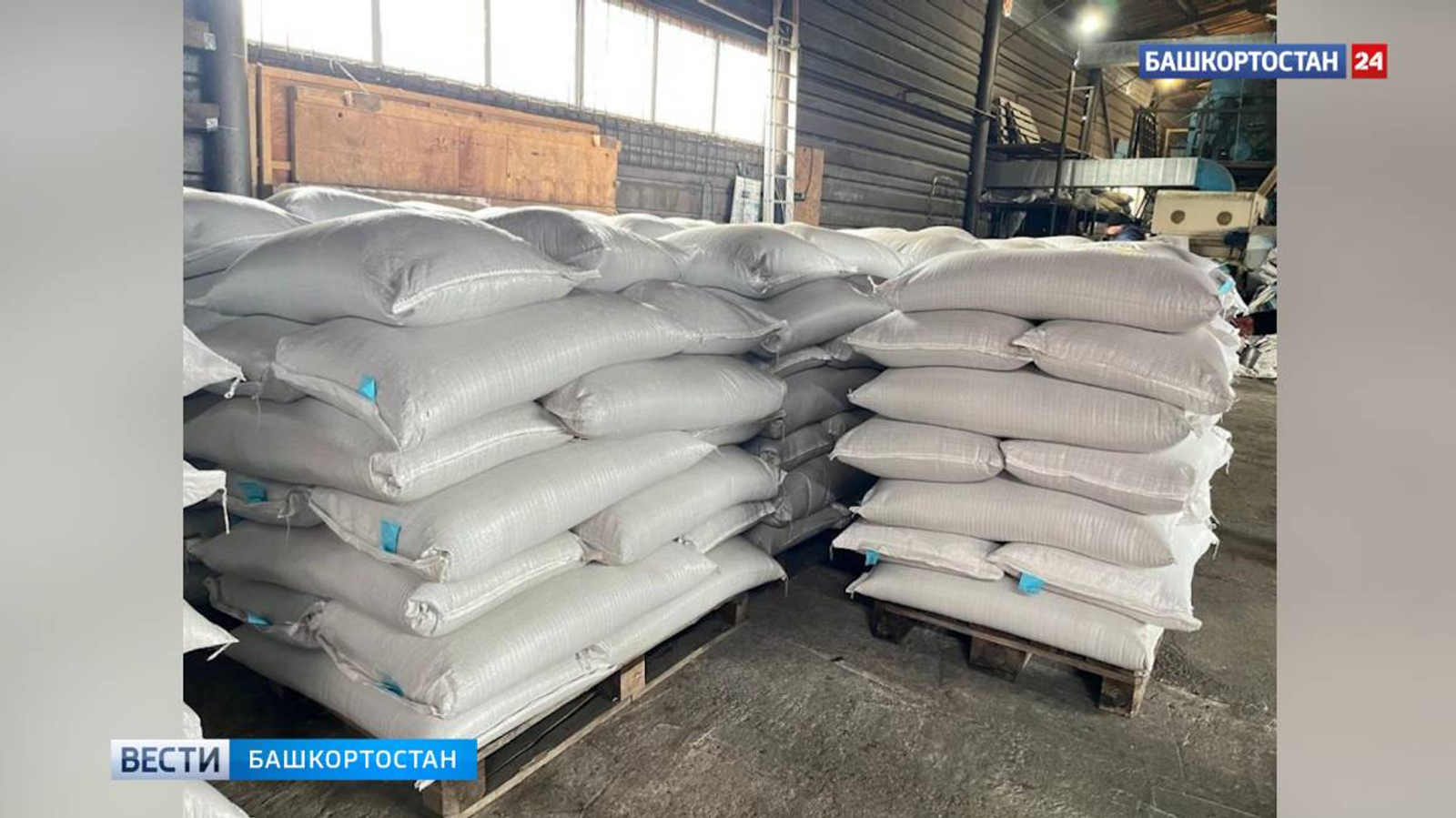 Башҡортостандан орлоҡ оҙатыу ике тапҡырға тиерлек артҡан