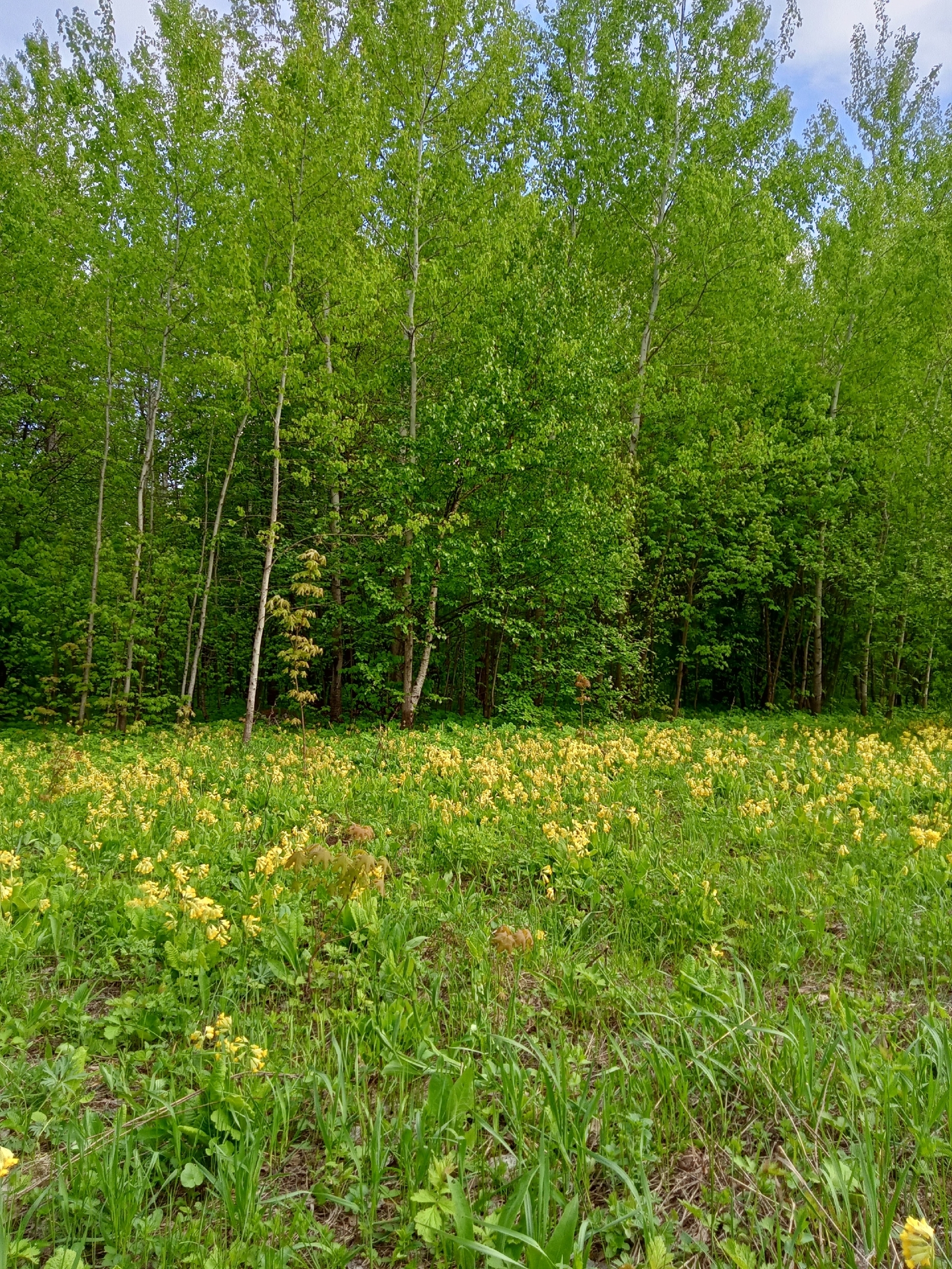 Айырам!.. Айырылам!…(хикәйә) Рәлиф КИНЙӘБАЕВ