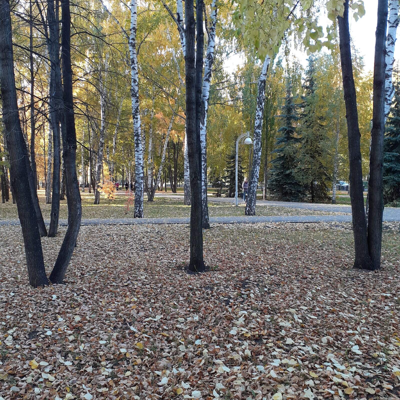 Ял көндәрендә Башҡортостанда ҡар ҡатыш ямғыр яуа