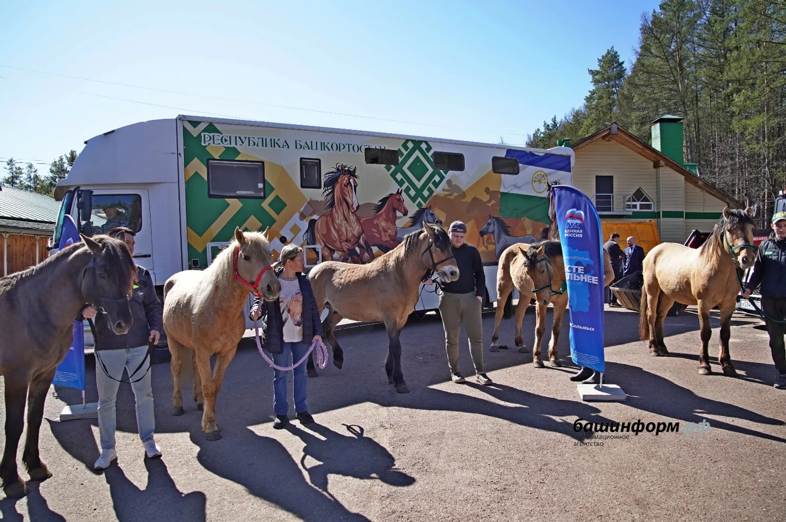 В зону СВО отправили с гумконвоем 10 башкирских лошадей