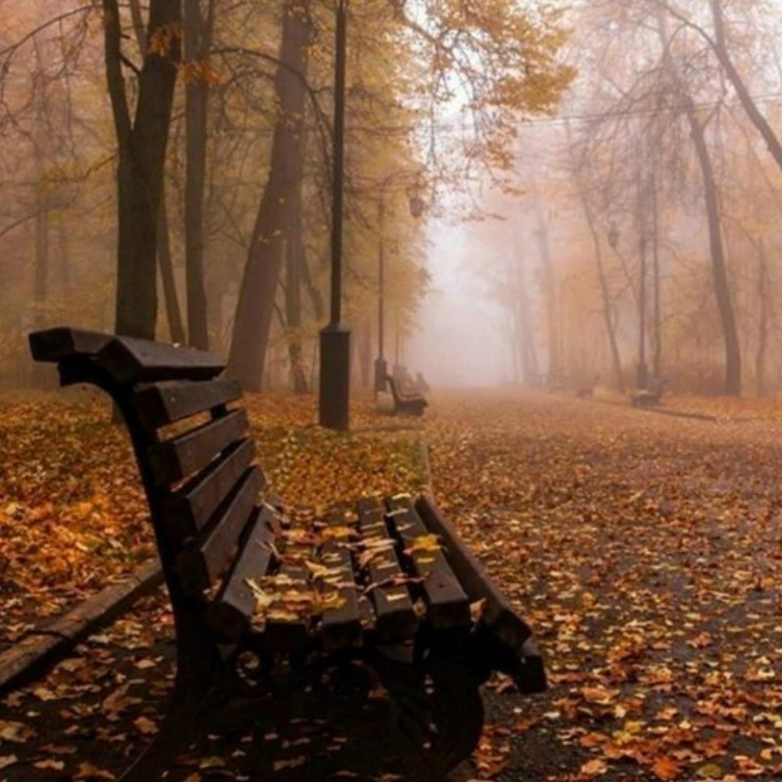 КЕМГӘ ҺӨЙЛӘЙЕМ СЕРҘӘРЕМДЕ... (Хикәйә)